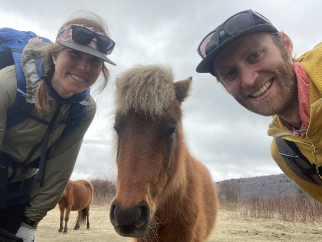 Selfie with the Wild Ponies in the Grayson Highlands along the Appalachian Trail