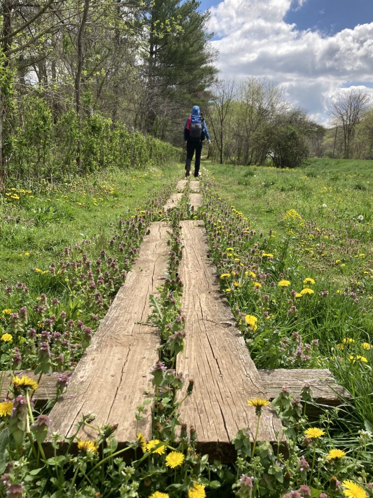 appalachian trail 2021 172