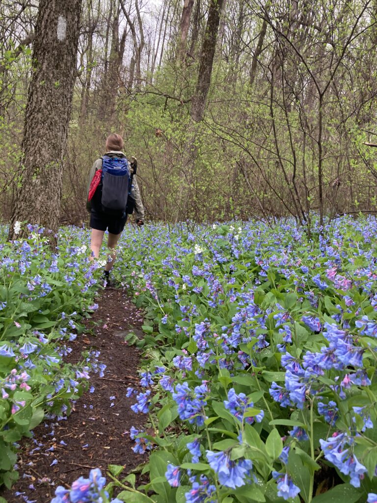 appalachian trail 2021 177