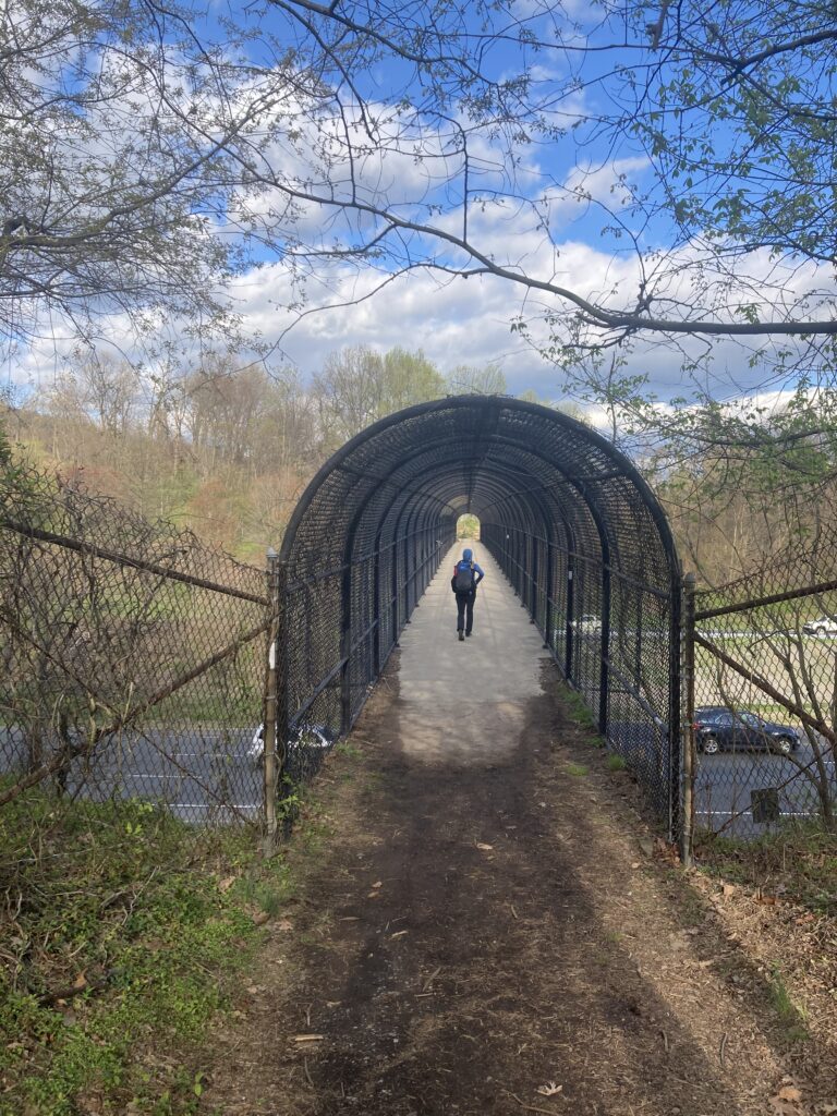appalachian trail 2021 189