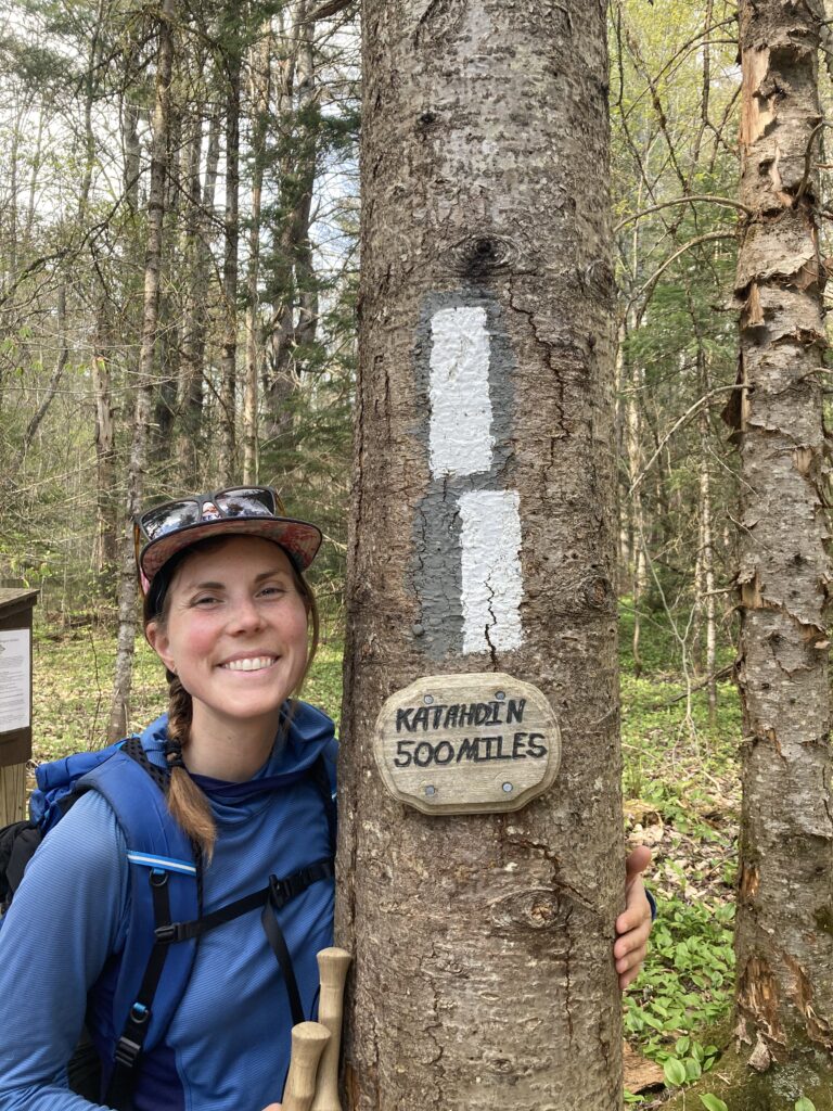 appalachian trail 2021 274
