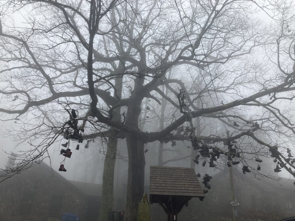 Shoes hanging from the trees at Neel Gap on the Appalachian Trail