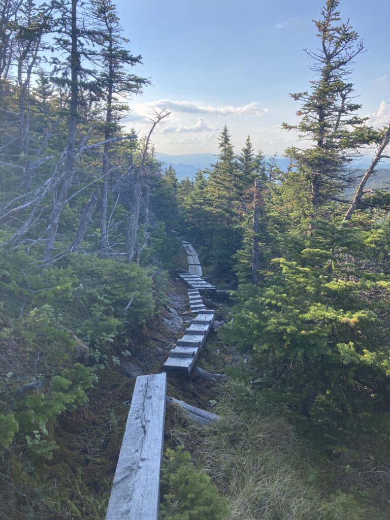 appalachian trail 2021 395