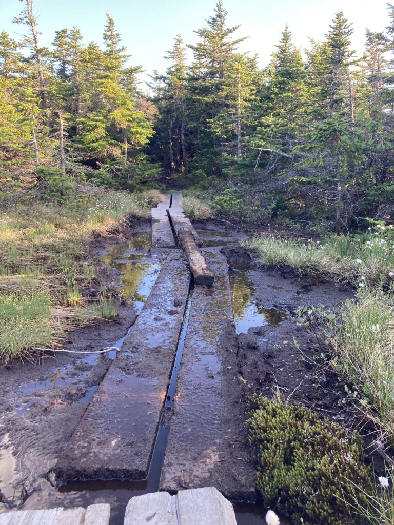 appalachian trail 2021 400