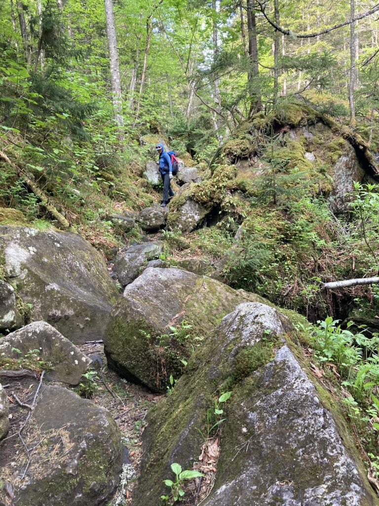 appalachian trail 2021 401
