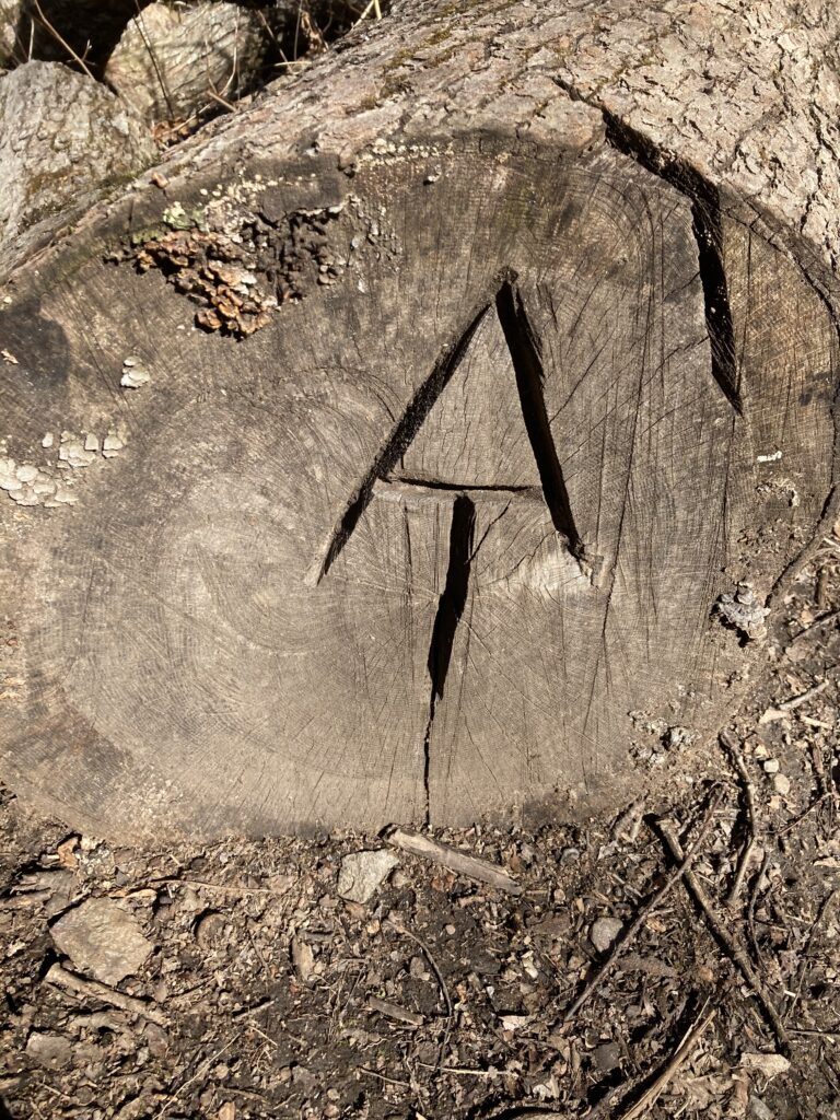 appalachian trail 2021 41