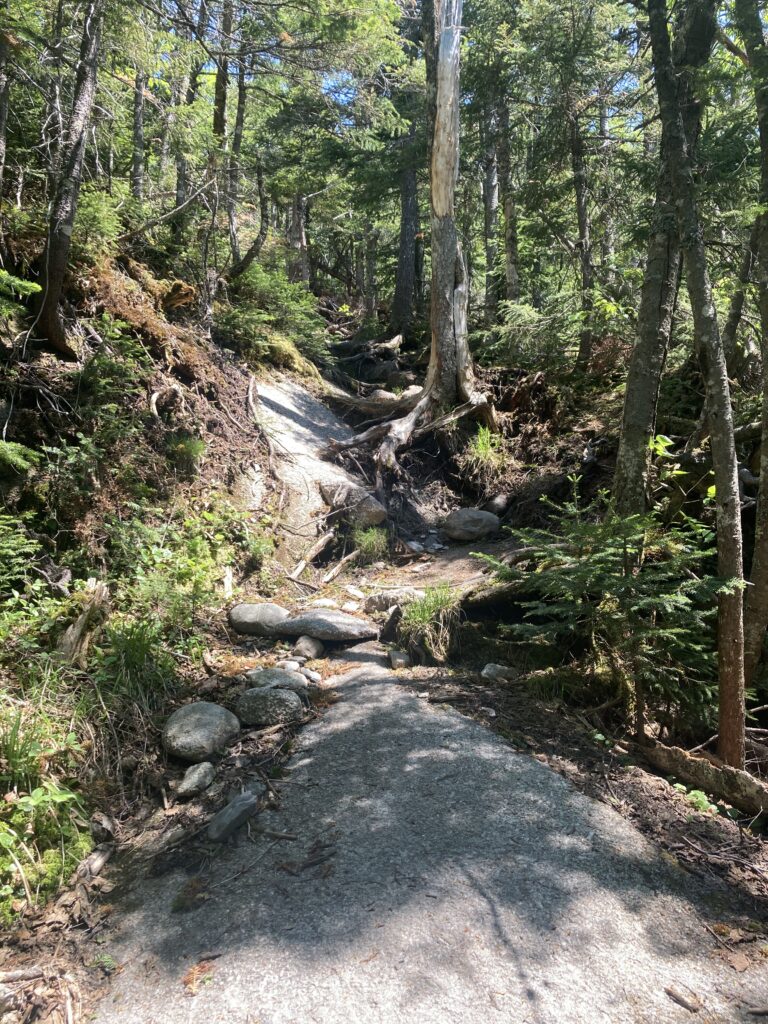 appalachian trail 2021 411