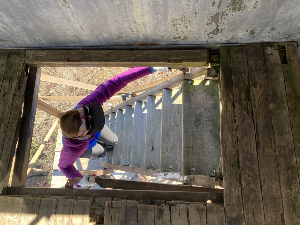 appalachian trail 2021 55