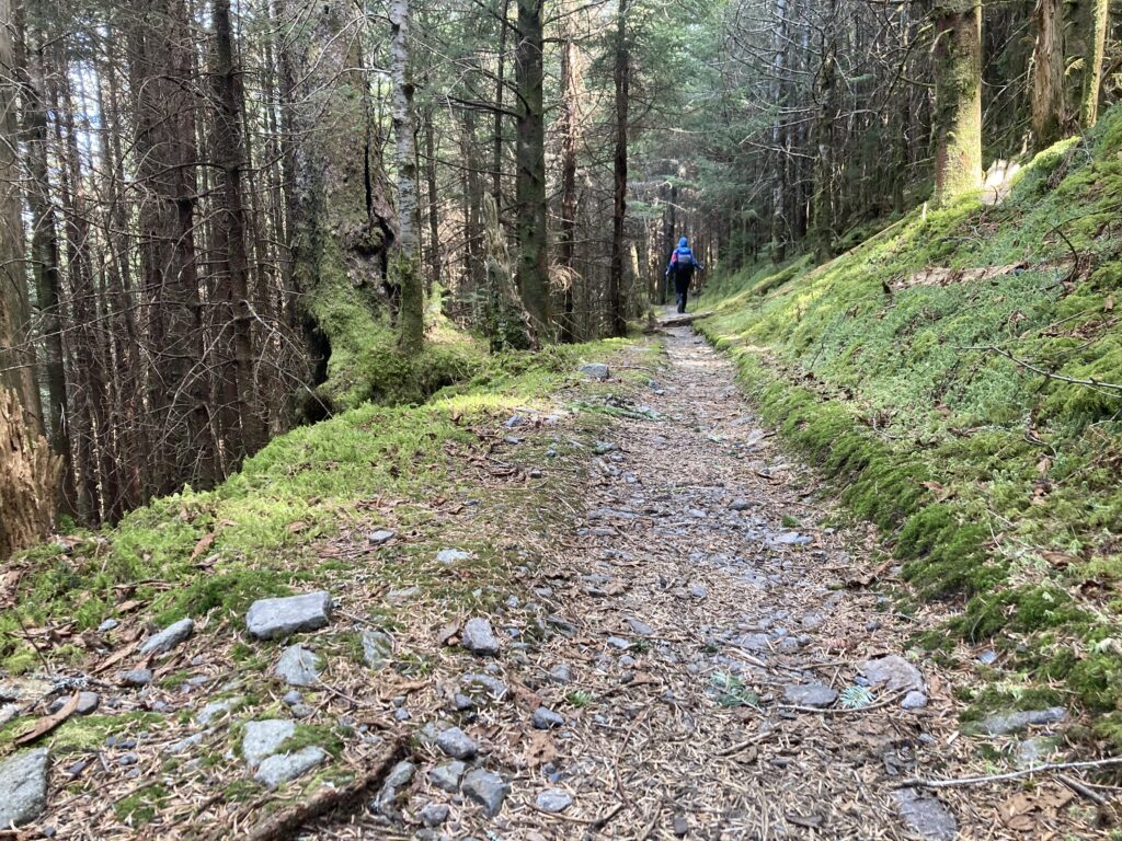 Appalachian Trail through the Smokey Mountains