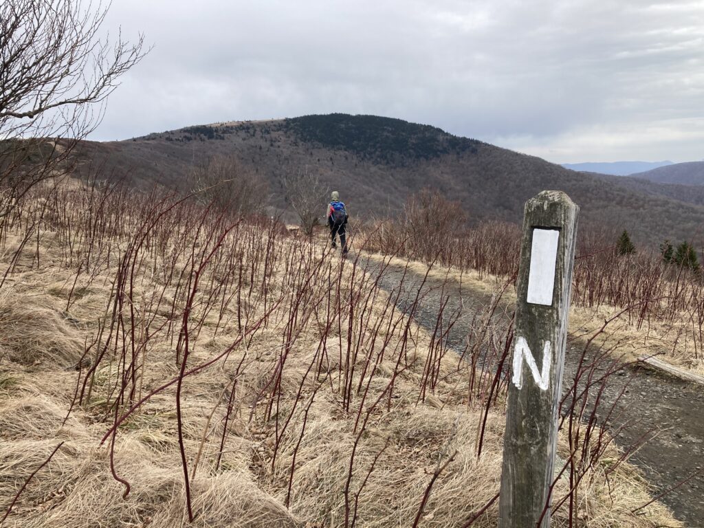 appalachian trail 2021 86