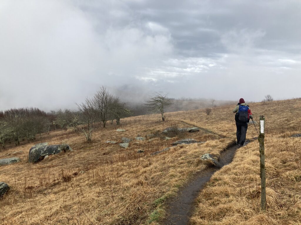 appalachian trail 2021 90