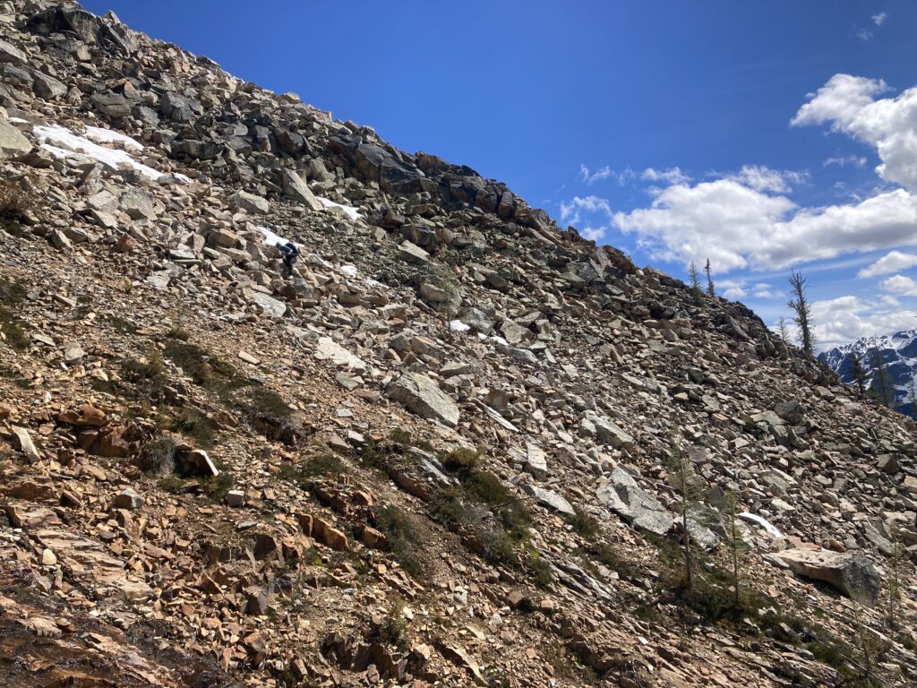 Carolyn walks down a loose rock filled slope in the Pasayten WIlderness headed towards Blackcap Peak