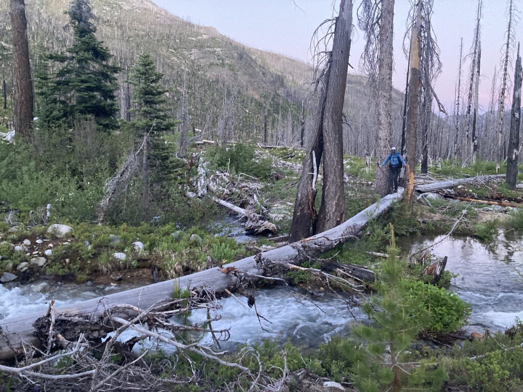 Entiat Wilderness river crossing with hiker walking on them to cross