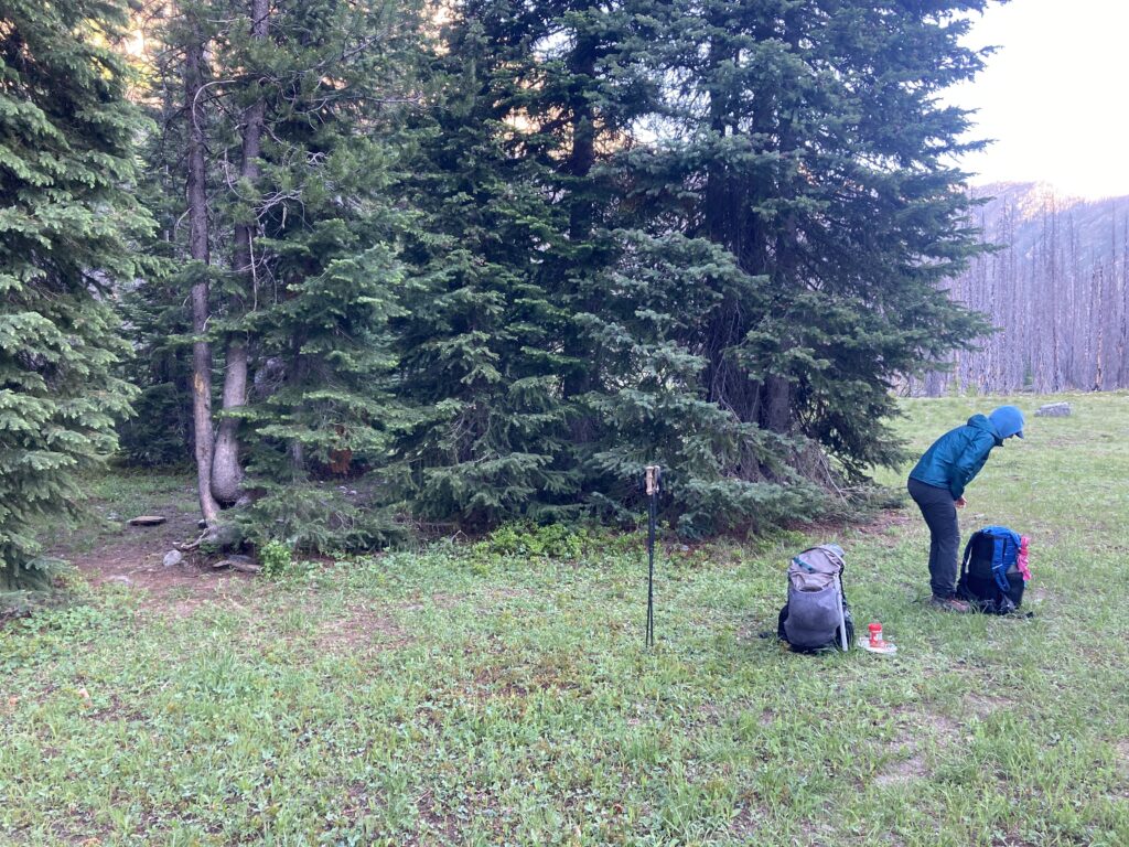 Snow Brushy Meadows campsite in the Entiat Wilderness