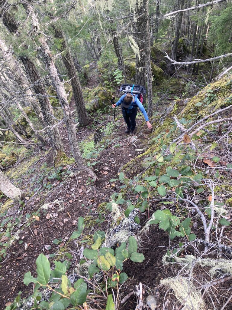 Hiking the steep approach trail to Snowfield Peak in North Cascades National Park