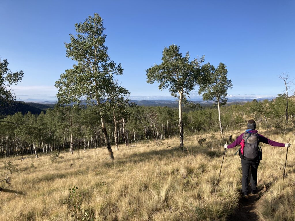 colorado trail 10
