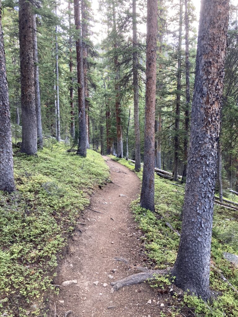 colorado trail 17