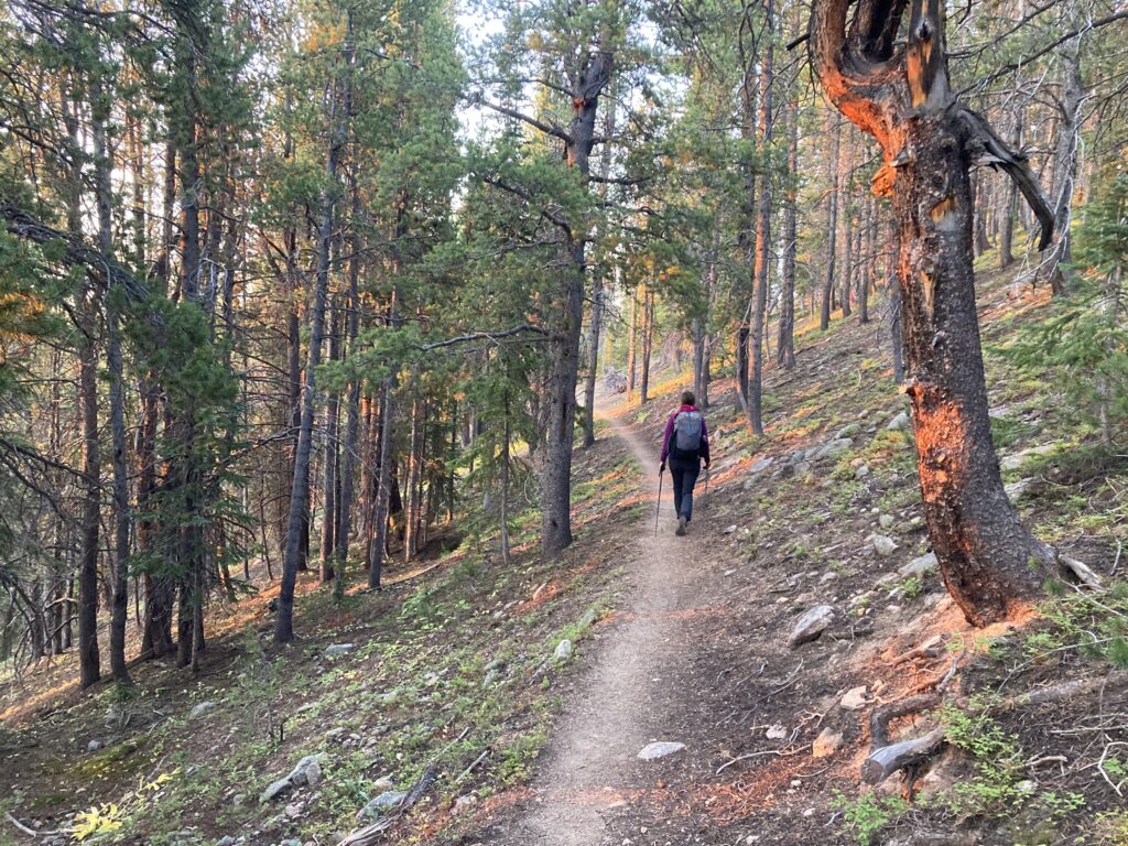 colorado trail 26
