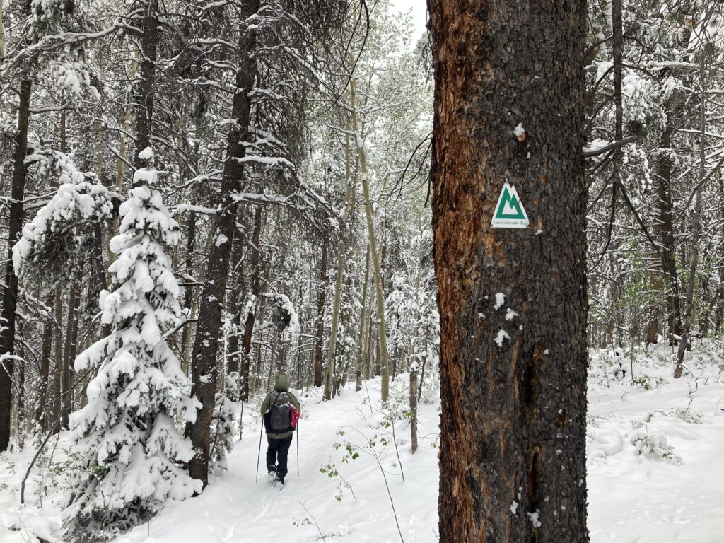 colorado trail 41