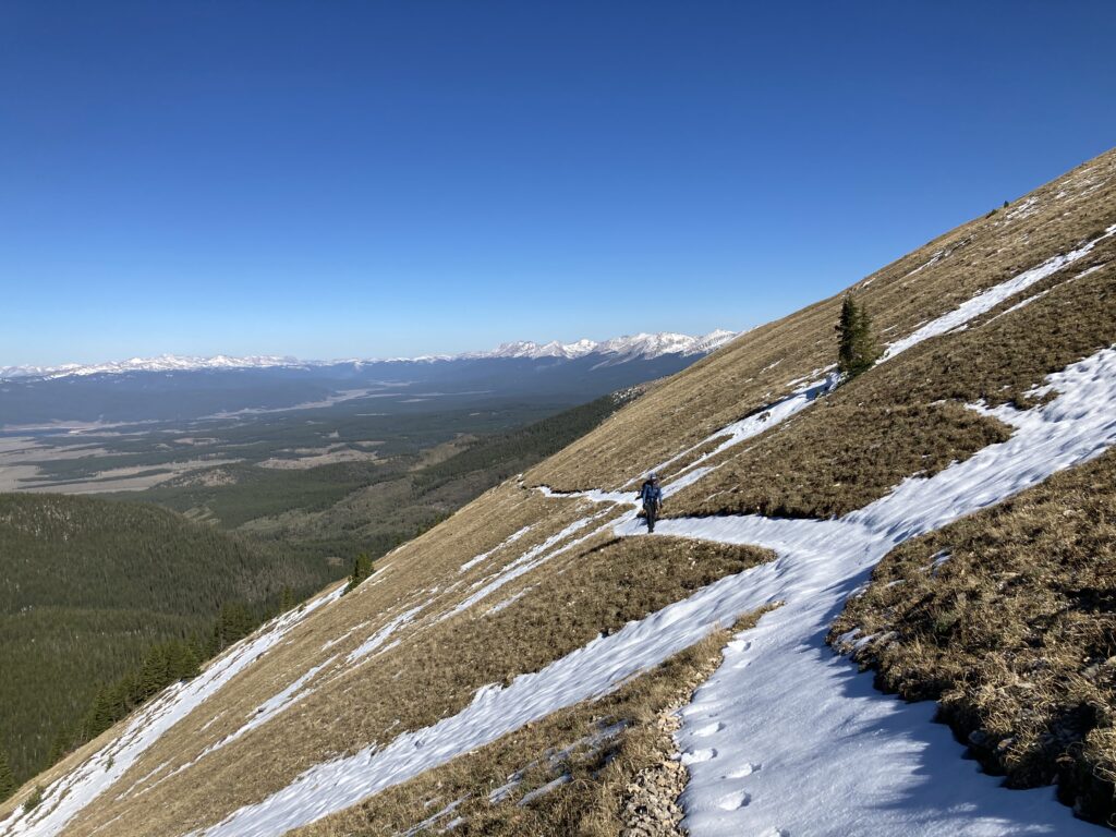 colorado trail 70