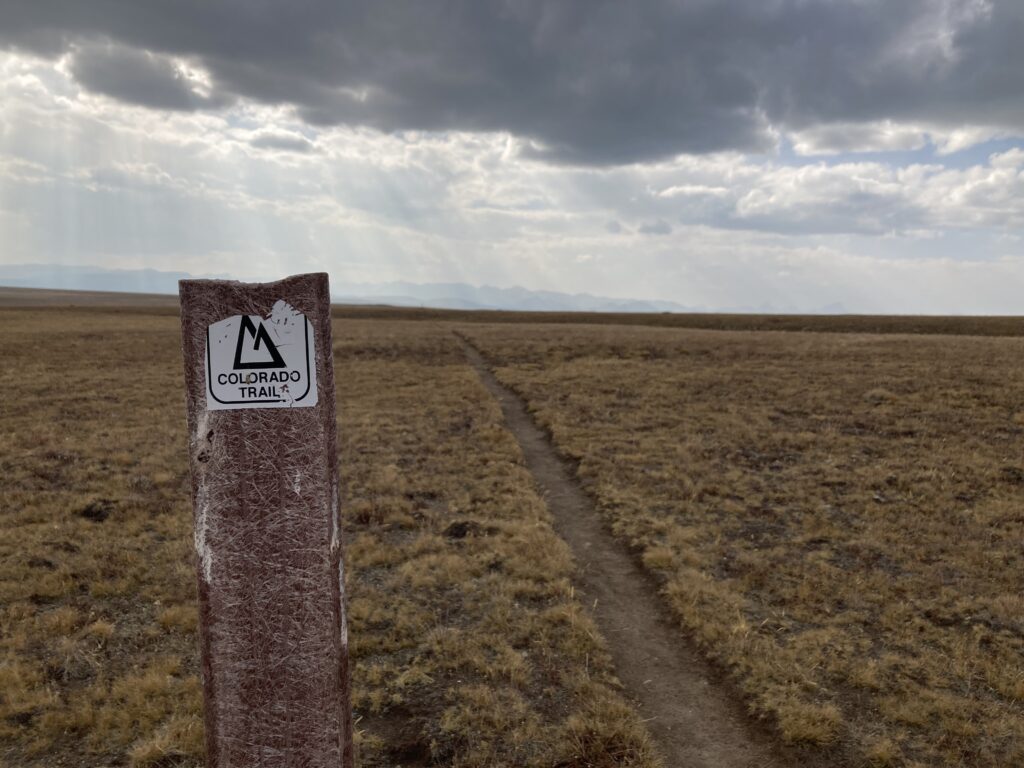 colorado trail 81