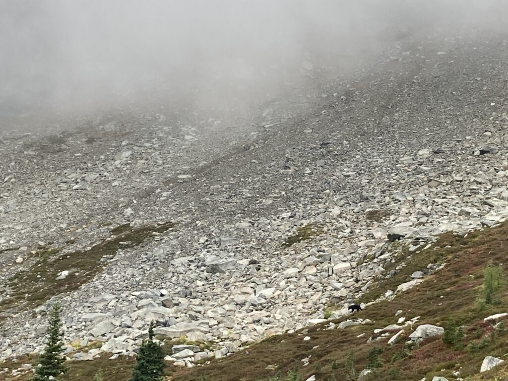 corteo peak 2