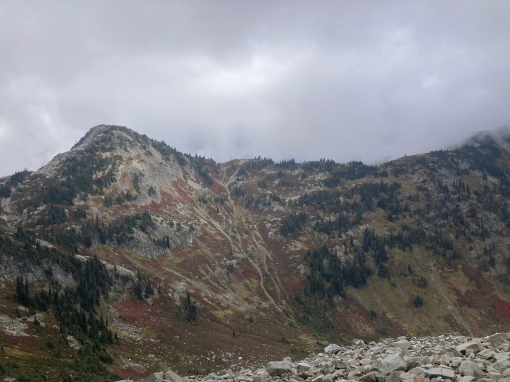 corteo peak 3