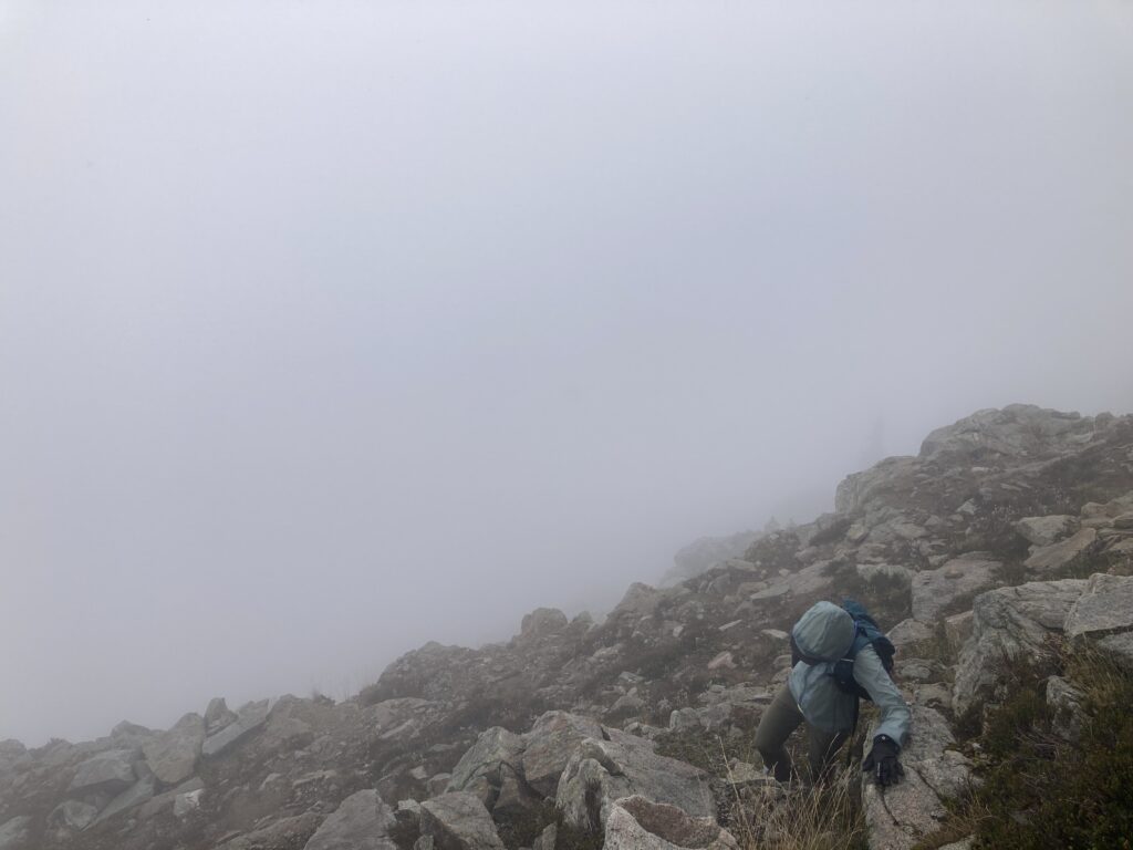 corteo peak 4
