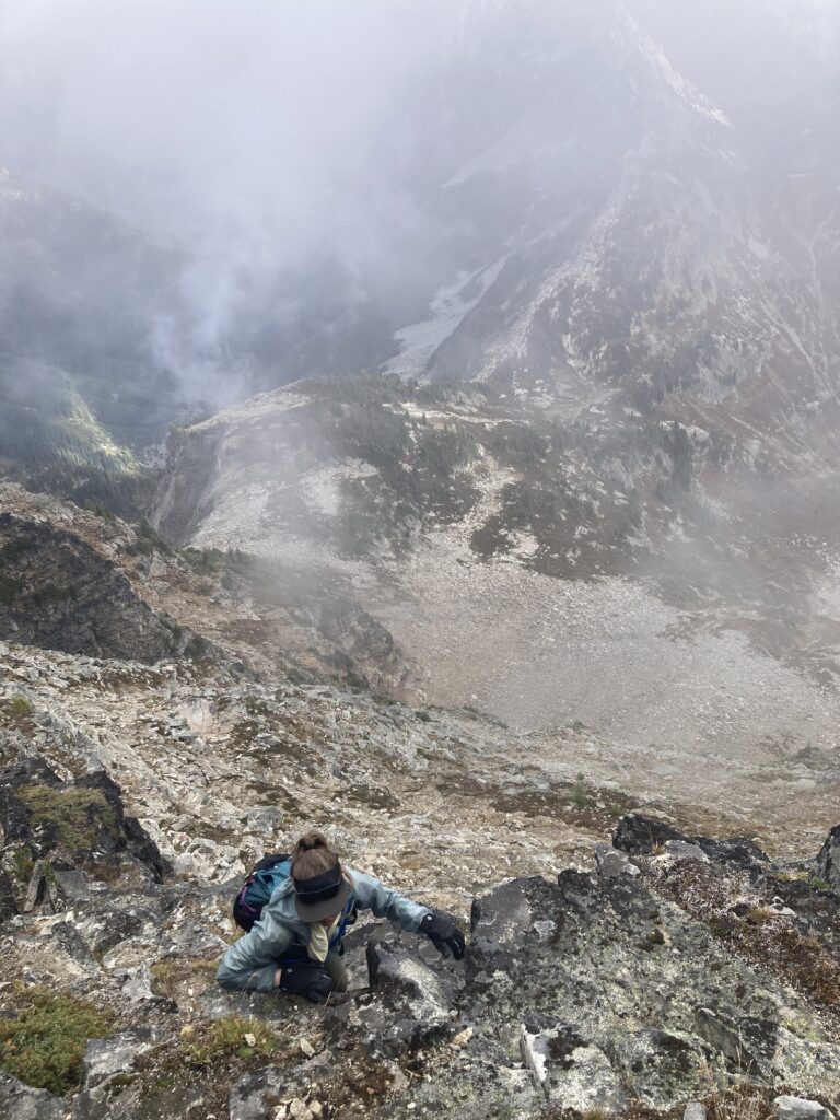 corteo peak 6