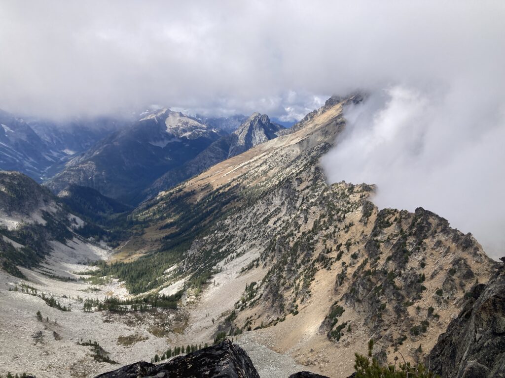 corteo peak 9