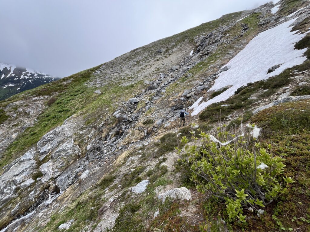 Grassy hillside in the Glacier Peak Wilderness