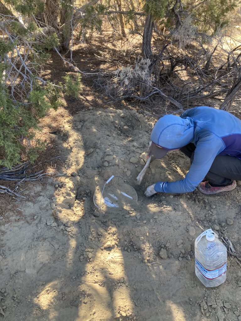 Carolyn unearthing one of the caches that we buried along the route