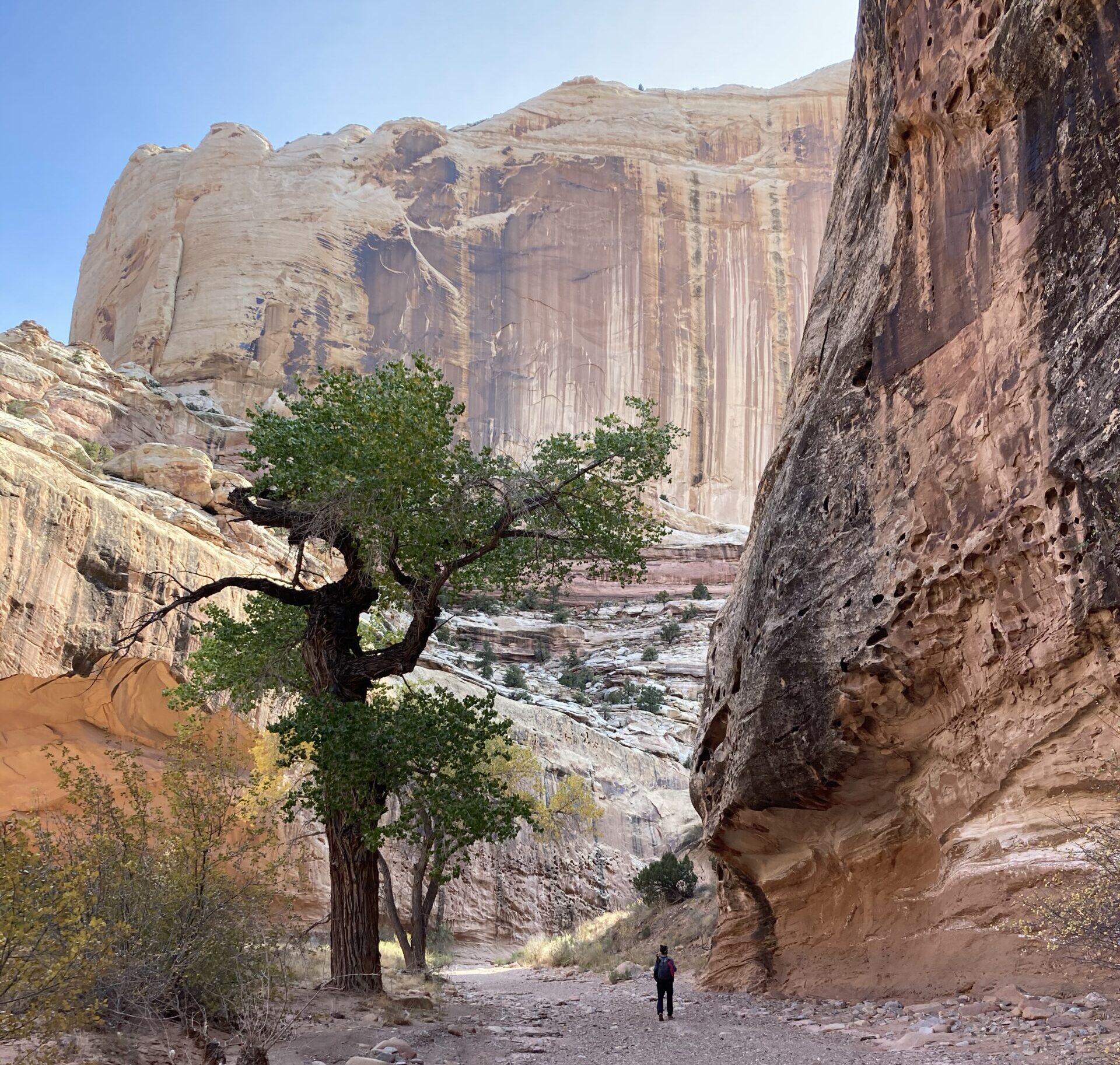 Carolyn hiking in Lower Muley Twist Canyon