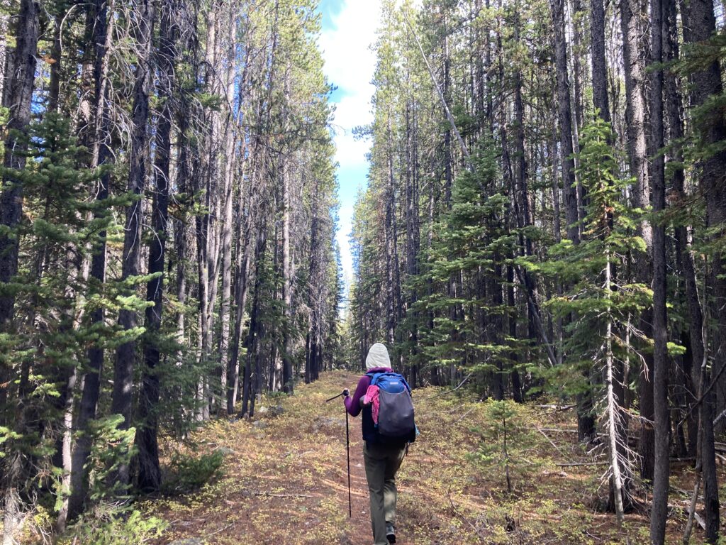 hoodoo peak raven ridge mount bigelow 20