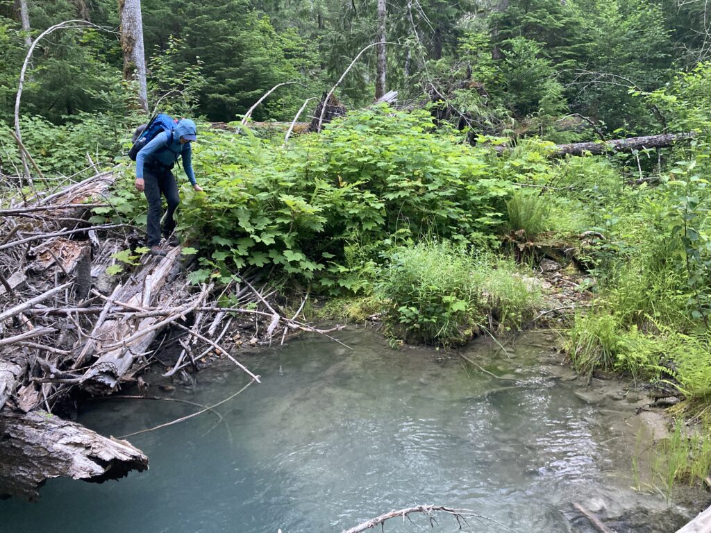 Carolyn crossing a log over Thunder Creek in North Cascades National Park Washington