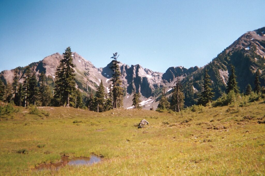 olympic national park loop 12