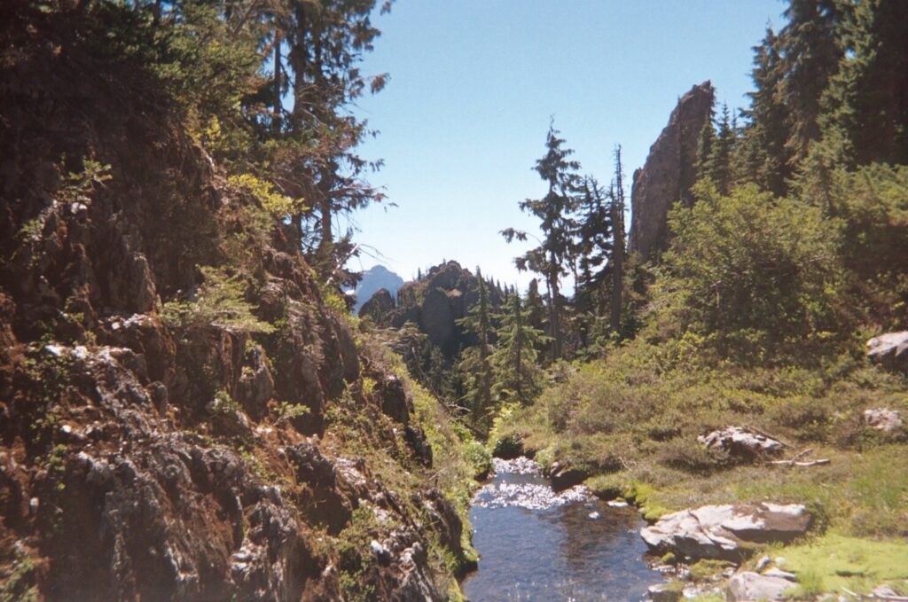 olympic national park loop 21
