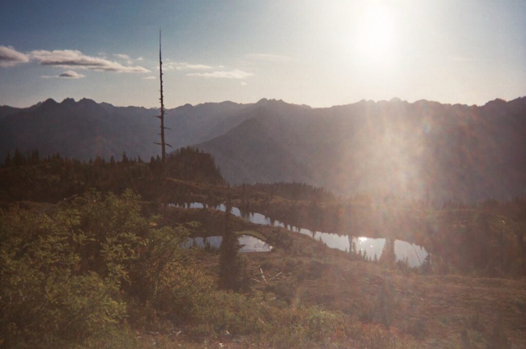 olympic national park loop 25