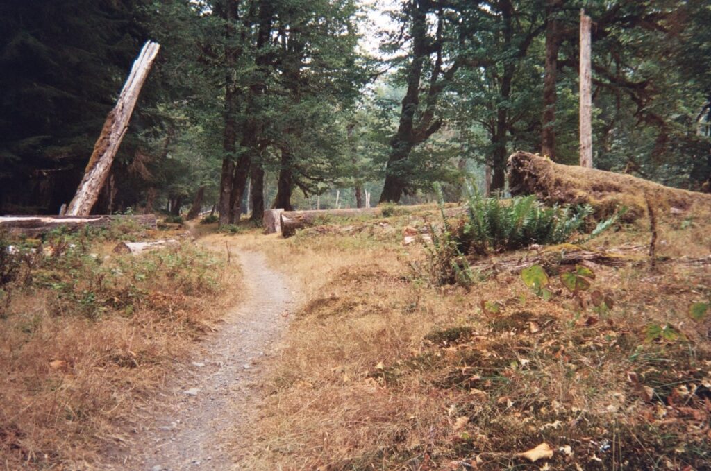 olympic national park loop 30