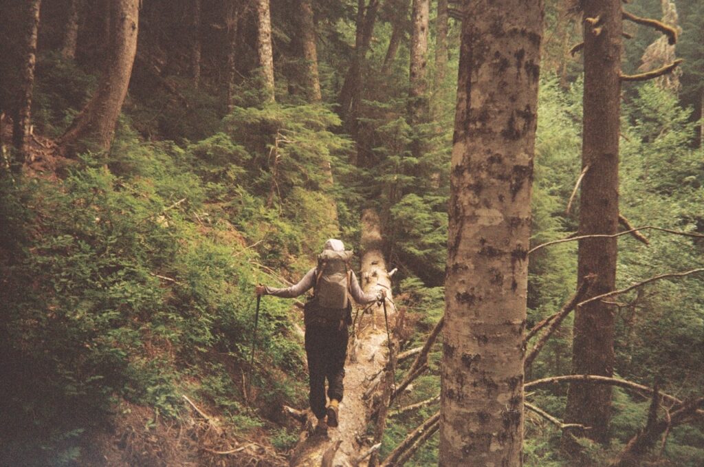 Rough off-trail terrain in the Olympic National Park