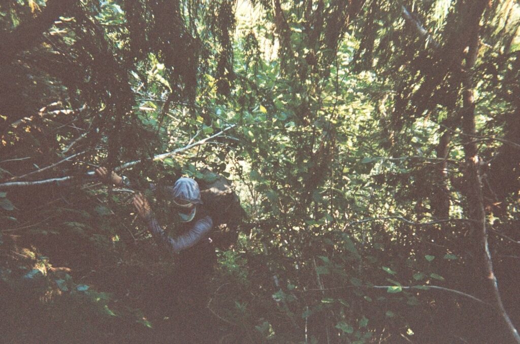 olympic national park loop 32