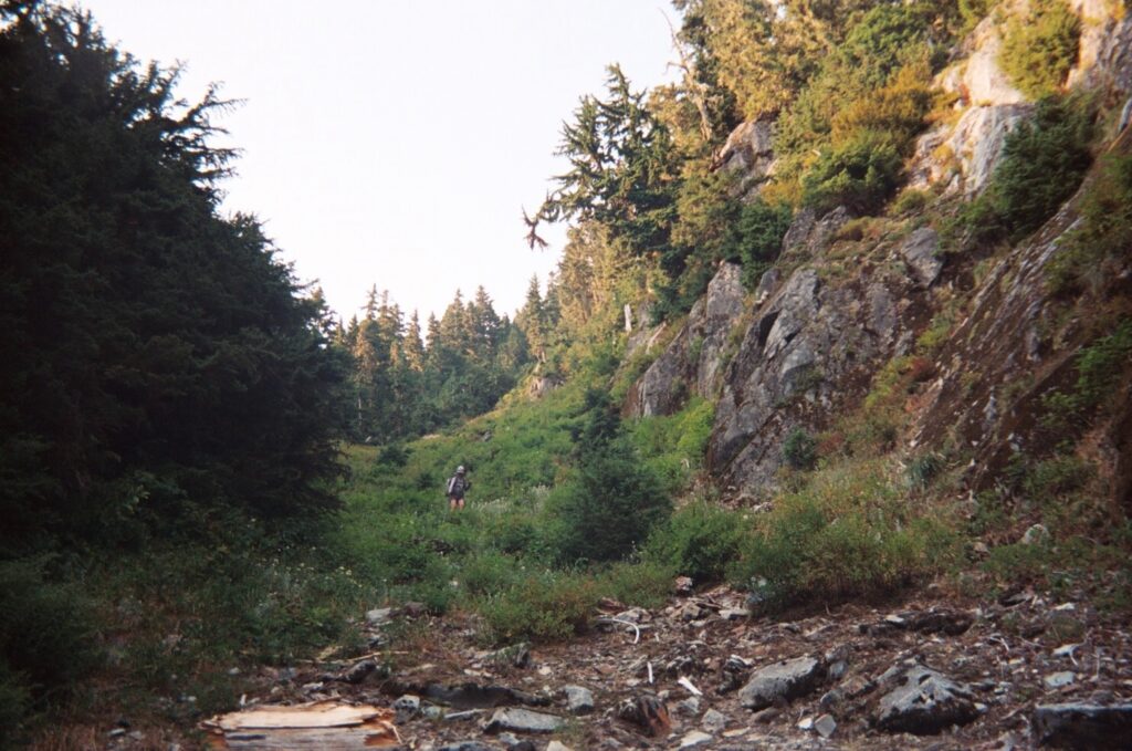 olympic national park loop 34