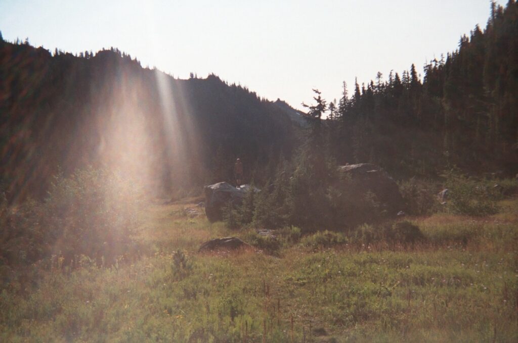 olympic national park loop 36