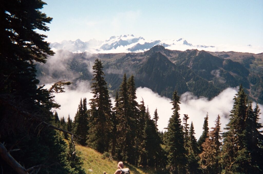 Swirling clouds in the Olmpic National Park