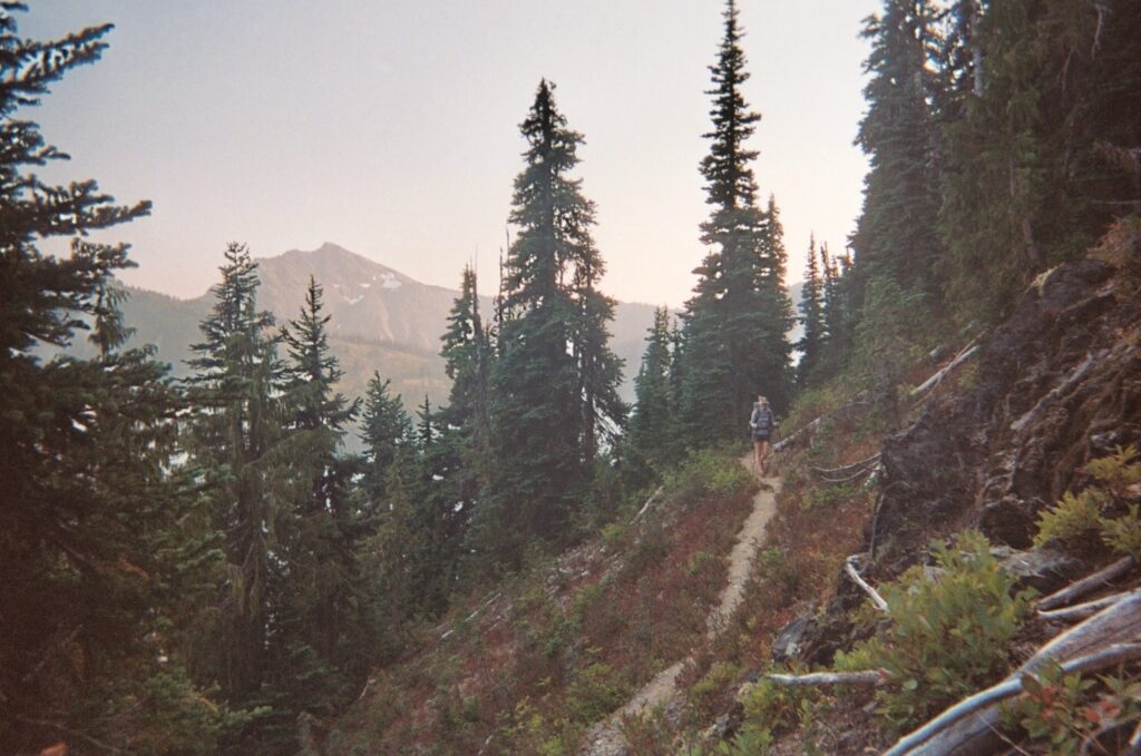 olympic national park loop 8