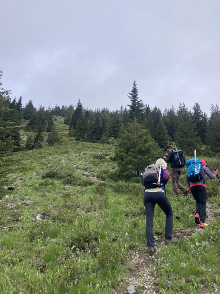 robinson mtn 4