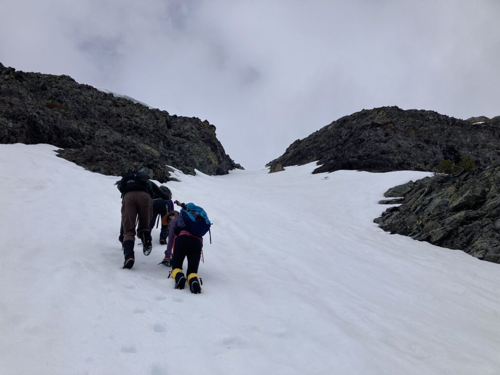 robinson mtn 8