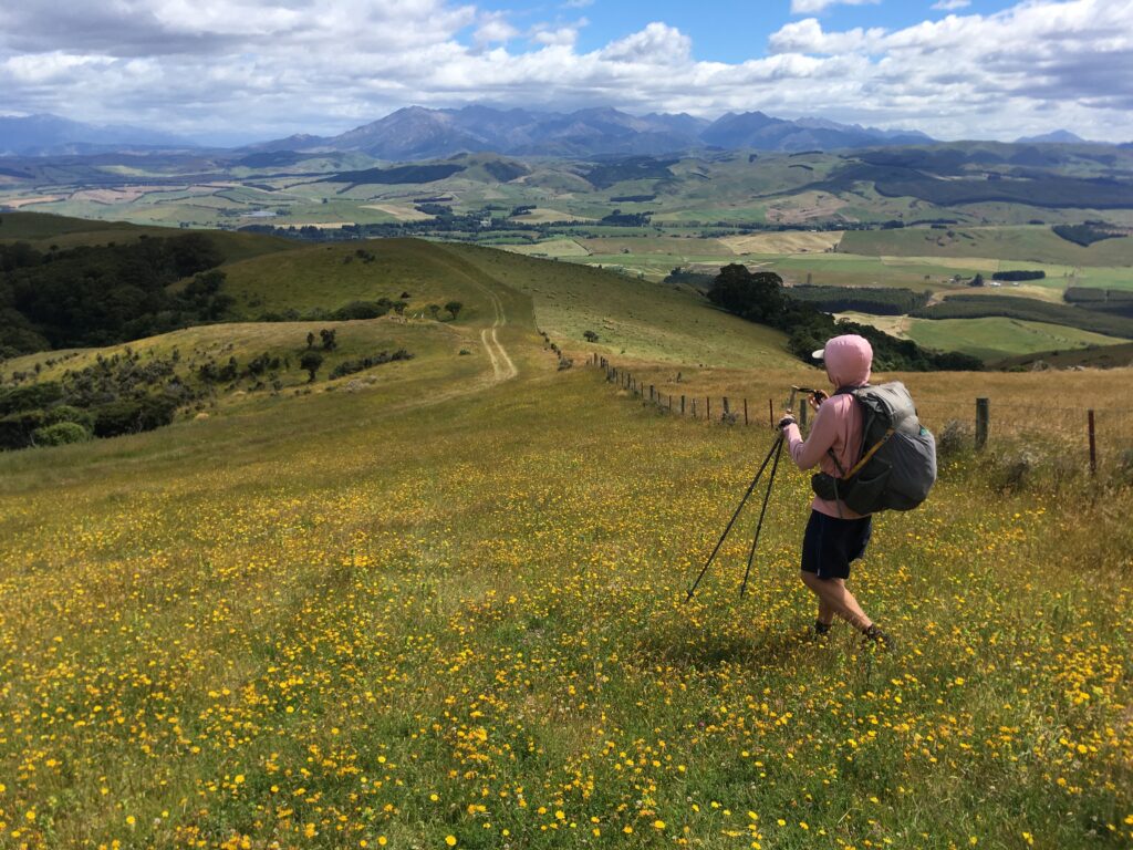 te araroa trail 10