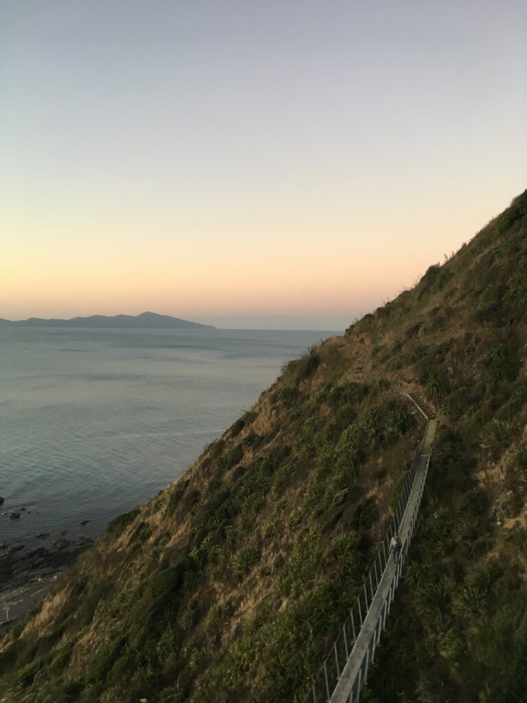 te araroa trail 111