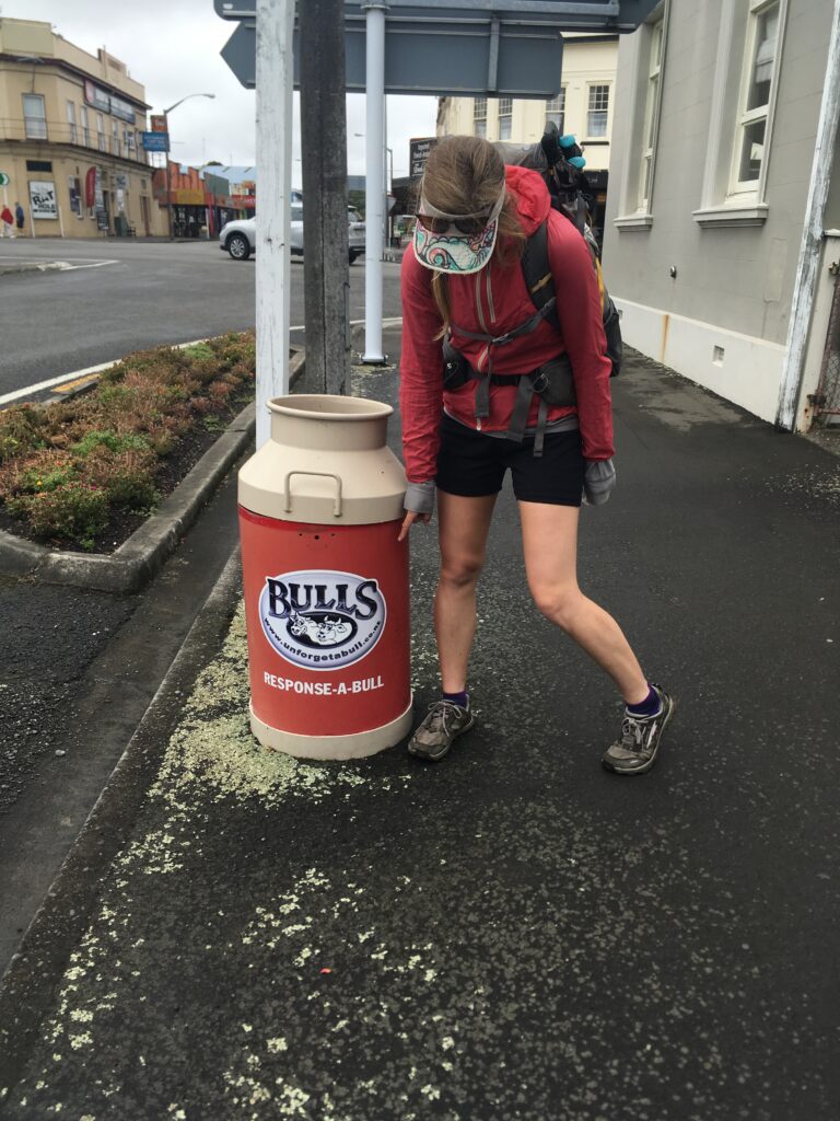 te araroa trail 119